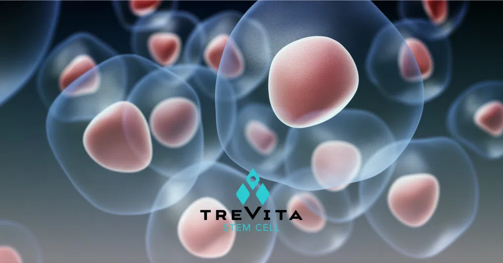 How Does Stem Cell Therapy Work?